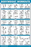 QUICKFIT Bodyweight Workout Übungsposter – Körpergewichts-Workout-Tabelle – Calisthenics Routine – laminiert, 45,7 x 68,6 cm