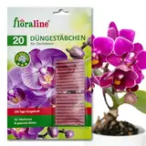 floraline® | 20x Orchideen - Düngestäbchen | pro Stäbchen: Orchideen Dünger für bis zu 100 Tage | prächtige Blumen mit Wachstum und gesunden Blüten | Schonende Anwendung