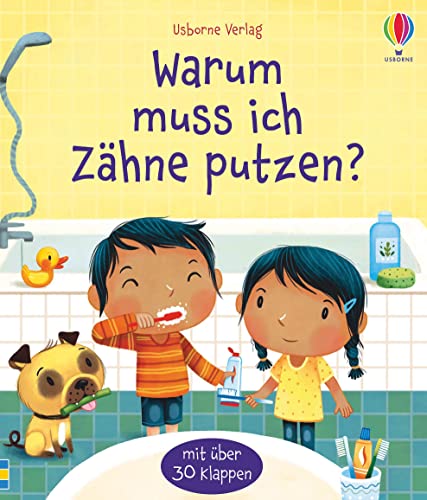 Warum muss ich Zähne putzen?: mit über 30 Klappen (Erste Fragen und Antworten)