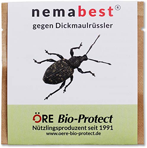 nemabest® HB Nematoden zur Bekämpfung des Dickmaulrüsslers - 3 Mio. für 6m², Insekten