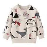 EULLA Kinder Jungen Sweatshirt Pullover Activewear Langarm Baumwolle Dinosaurier Herbst Winter Oberteile 4 Jahre alt 4# Grau Dinosaurier DE 104