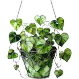 Buntglasfenster hängen, grüne Pflanze Buntglas Sonnenfänger, 7,8 x 7,8 2D Acryl -Sonnenfänger mit Kette, hängende Glasscheibe für Balkon Fenster Wandgartendekor, Geschenk, Buntglas, Sta
