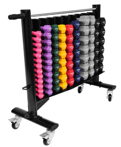 Bad Company Studio Ablage für Gymnastikhanteln I rollbares Rack für bis zu 120 Aerobic-Hanteln I BCA-122