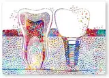 HXXCB - Diamond Painting - Aquarell Zahn Zahnarzt Zahnklinik DIY 5D Diamant Painting Set,Vollbohrer Stickerei Malerei Crystal,für Home Wanddekoration 30X40Cm