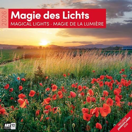 Magie des Lichts Broschürenkalender 2026 - 30x30 - Art12 | Geschmackvoller Landschaftskalender im schlanken Hochformat (aufgeklappt 30x60 cm) | Notiz