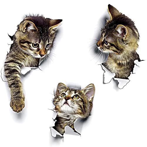 WandSticker4U®- 3x 3D KATZEN zum Kleben I Wandsticker Klo WC Aufkleber Toilettendeckel Katze selbstklebend I Wandtattoo Tier Küche Möbel Tür- & Kühlschrank-Aufkleber