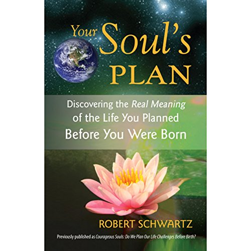 Your Soul's Plan: Discovering the Real Meaning of the Life You Planned Before You Were Born