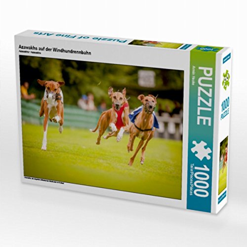 CALVENDO Puzzle Azawakhs auf der Windhundrennbahn 1000 Teile Lege-Größe 64 x 48 cm Foto-Puzzle Bild von Armin Hauke