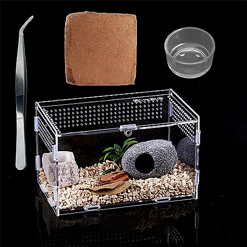 Insekten-Terrarium Set, Acrylglasbehälter, tragbarer Lebensraum für Reptilien und Amphibien, geeignet für Spinnen, Eidechsen, Frösche, Skorpione, Grillen, Geckos (20 * 12 * 12cm)