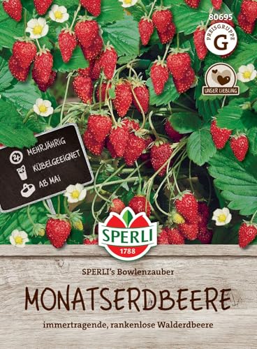 Sperli Monatserdbeerensamen SPERLI's Bowlenzauber 80695 - immertragende, rankenlose Walderdbeere - Inhalt für 60 Pflanzen - Erdbeeren Pflanzen, Saatgut