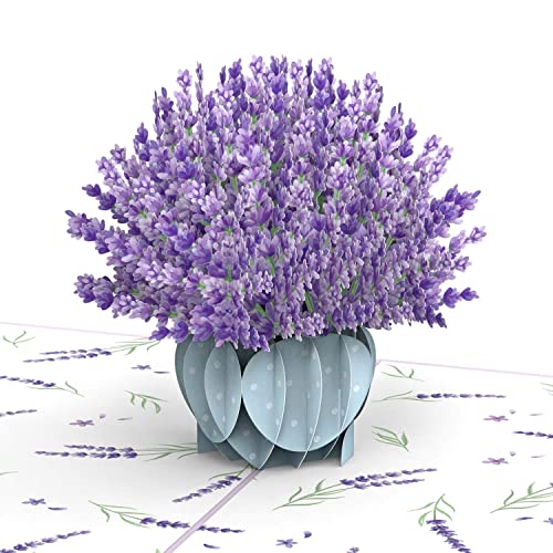 papercrush® Pop-Up Karte Lavendel - 3D Blumenkarte für Frau, Mama, Tante & Freundin zum Geburtstag, Genesungskarte für Gute Besserungswünsche, Glückwunschkarte zum Ruhestand für Kollegin, Dankeskarte
