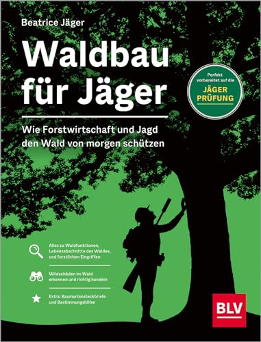 Waldbau für Jäger: Wie Forstwirtschaft und Jagd den Wald von morgen schützen