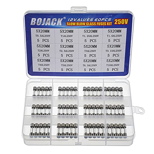 BOJACK 12 Werte 60 Stück trägen Glassicherungen 5x20mm Sicherung 250V Sicherungen T 0.5A 1A 1.25A 1.6A 2A 2.5A 3A 3.15A 4A 5A 6.3A 10A Verpackung in einer durchsichtigen Plastikbox