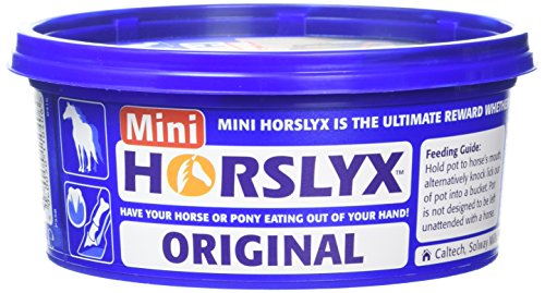 Mini Horslyx Leckmasse, Pferde Nahrungsergänzung, Original 650g