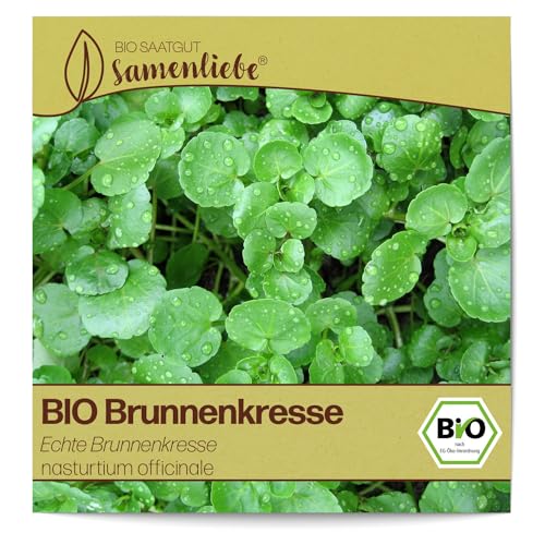 Samenliebe BIO Brunnenkresse Samen alte Sorte Echte Brunnenkresse Wasserkresse Wildkräuter grün 1500 Samen samenfestes Kräuter Saatgut für Küche indoor und Balkon Garten BIO Kräutersamen winterhart