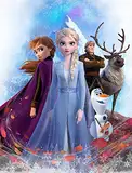 Große Frozen 2 Die Eiskönigin Team Kuscheldecke 130 x 170 cm super weiche Wohndecke Sofadecke Fleece-Decke warme Kinderdecke Disney Olaf Anna ELSA Sven Kristoff Arendelle Völlig unverfroren