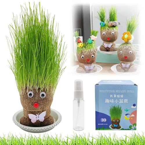 Graskopf Puppenpflanze, Graskopf Wachsende, Wachsende Graskopf Puppenpflanze, Graskopf Haarwuchs Spielzeug Mit Tablett, Mini Bonsai Gras Kopf Figure Puppen, Kinder Handwerk DIY Lustiges Geschenke