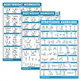 Palace Learning 3er-Pack: Bodyweight Workout Poster Band 1 & 2 + Stretching Exercises Poster Set – Set mit 3 Workout-Diagrammen (laminiert, 45,7 x 61 cm)