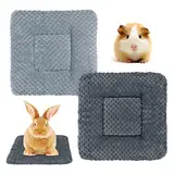 Hileyu Kleintierplüschbett 2 Stück warme Flauschige Welpendecke Fleece Kaninchen Meerschweinchenkissen Bett Schlafmatte für Welpe Hund Kätzchen Hase Chinchilla, Eichhörnchen Hamster 30 * 30cm