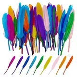 OAOSDH 150 Farbenfrohe Federn, DIY -Kunsthandwerksmaterialien, Handgefertigt Von Kindern, Kleidungsdekorationsmaterialien, Können Haarzubehör, Masken, Ohrringe Herstellen.