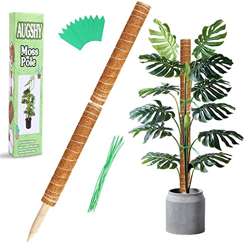 Augshy 2 Stück 16 Zoll Moosstab Pflanzstab Kokos Rankhilfe Pflanzstab Blumenstab Pflanze Totem für Garten Pflanzenunterstützung Kokosstab