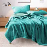 YISURE Flauschige Decke Wasserdicht 230x203cm für Sofa Bett Intimität, Reversible Lovers Squirt Decke für Erwachsene, Leakproof Protector Cover Hundedecke für Couch Bett Matratze/Möbel (Aqua/Türkis)