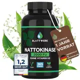 Nattokinase 2000 FU - JAHRESVORRAT - 365 Nattokinase Kapseln je 100mg (20.000 FU/g) - Deutsche Herstellung - Nattokinase hochdosiert - Natto aus GMO-freien Soja - 100% Vegan - Laborgeprüft - BLATTWERK