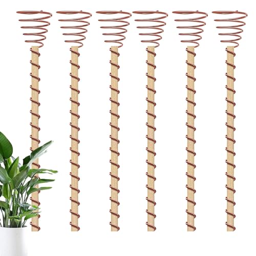 Gartenstecker aus Kupfer - Electroculture Kupfer Gartenantenne | Kupferpfähle für den Garten | 6 Stück 12 Zoll Elektrokultur Garten Kupferspulenantennen | für das Wachstum von Pflanzen