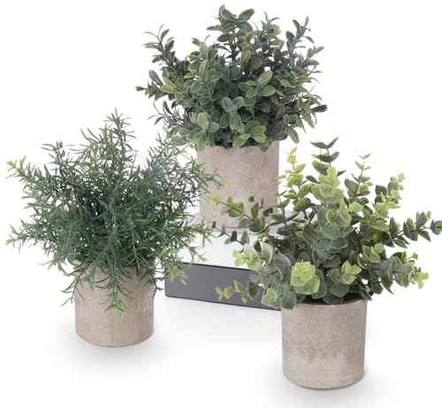 Lindahandel 3 Stück Künstliche Pflanzen, Kunstpflanze Klein, Fake Plant Rosmarin Eukalyptus Dekorative mit Töpfen für Deko Büro Wohnzimmer Balkon