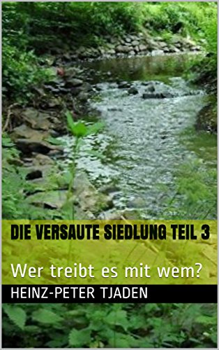 Die versaute Siedlung Teil 3: Wer treibt es mit wem?