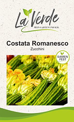 Costata Romanesco Zucchinisamen