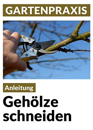 Gehölze schneiden - Obstbäume, Laub- und Ziergehölze: Pflege, Instandhaltung, Verjüngung, Form und Erziehung (Blumen & Gartenpraxis)