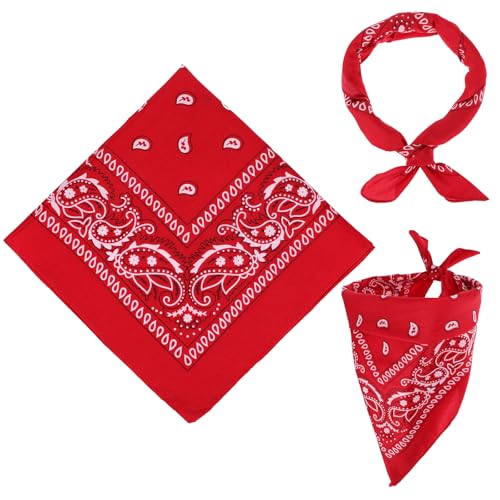 GEEHUA 2 Stück Bandana Herren Damen, 55 x 55 cm Halstuch Paisley Muster Damen Und Herren, Herren Bandana Tuch Headwear Haar Schal Ansatz Kopf Halstuch für Biker Motorrad Herren (Rot)