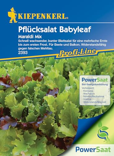 Kiepenkerl Pflücksalat Babyleaf Maraldi Powersaat- Frischer Salat mit Wintergemüse Samen und Kräutersamen - Schnellwachsende Salatsamen für den Garten - Widerstandsfähige Kräutersamen bis zum Frost