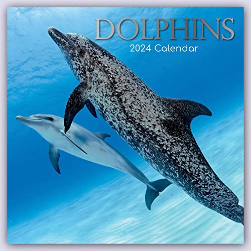 Dolphins – Delfine – Delphine 2024 – 16-Monatskalender: Original The Gifted Stationery Co. Ltd [Mehrsprachig] [Kalender] (Wall-Kalender)