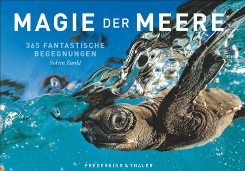 Tischaufsteller – Magie der Meere: 365 fantastische Begegnungen