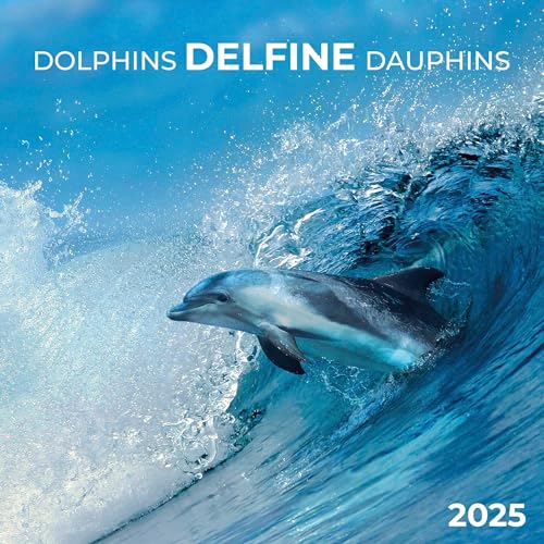 Dolphins/Delfine 2025: Kalender 2025 (Artwork Edition)