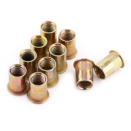 Nietmuttern M10, Nietmutter Aus Kohlenstoffstahl M3-M12, Gewindemutter Aus Edelstahl Für Bleche Aus Metallblechen Und Andere Fertigungsindustrien, (M10 (20 Stück/Packung))