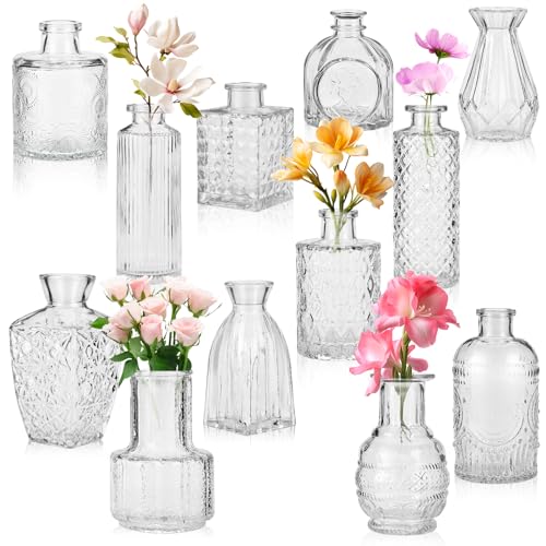 Cieex Kleine Vasen Set, 12St Vintage Blumenvase Klein Glasvase für Tischdeko, Vasen Deko Verschiedene Groessen Glasflaschen für Muttertagsgeschenk, Hochzeitsdekorationen und Wohnzimmer Deko