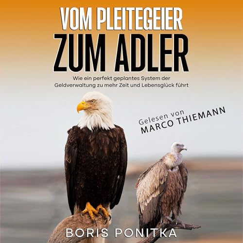 Vom Pleitegeier zum Adler: Wie ein perfekt geplantes System der Geldverwaltung zu mehr Zeit und Lebensglück führt