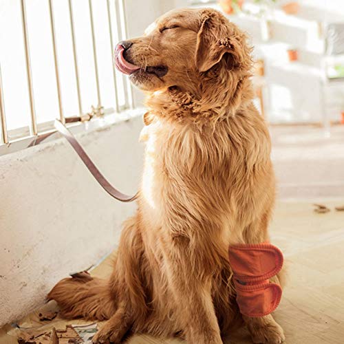 FOLOSAFENAR Ellenbogenschutz für Hunde, Lecken und Infektionen vermeiden, Haustier-Wiederherstellungszubehör, das bei kaltem Wetter warm bleibt,(orange, M)