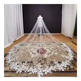 DZZTHSH Brautschleier, Kathedralschleier + Spitzenapplikationen, wunderschöne Hochzeitsaccessoires für die Braut, Langer Tüllschleier für die Hochzeit