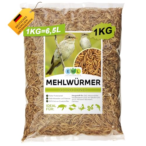 Mehlwürmer getrocknet 1kg = 6500ml Insektensnack für Vögel, Fische, Schildkröten, Nager und Reptilien, Vogelfutter Wildvögel Ganzjährig, Eichhörnchen Futter, Igelfutter