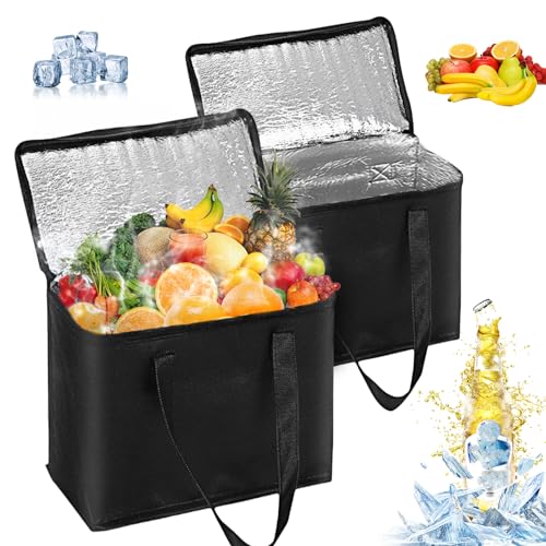 Sporgo 2 Stück Kleine Kühltasche Faltbar: Eistasche Picknicktasche Thermotasche Kleine Kühltasche Kühlbox, Faltbar Lsoliertasche für Picknick, Klein Lunch Tasche für Outdoor Reisen Picknic Camping