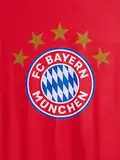 FC Bayern München Kuscheldecke