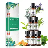 MAYJAM Ätherische Öle Set 6 x 10ml, 100% Rein Naturrein Ätherisches Öl Eukalyptusöl, Lavendel, Süße Orange, Teebaum, Zitronengras, Pfefferminz, Duftöle Set für Diffuser Aromatherapie Geschenkset