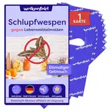 Wolkenfeld Schlupfwespen gegen Lebensmittelmotten – 4 Karten mit 1 Lieferung – Effektive & Chemiefreie Mottenbekämpfung – Natürliche Alternative zu Mottenfallen, Sprays & Pheromonfallen