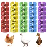 Riisoyu 100 Stück Hähnchen Identifikation Beinringe, 20mm Geflügel Bands Clip On Leg Rings Geflügel Fußringe Plastikgeflügel 5 Farben Beinbänder Nummerierter Chicken Tags für Legs für Ente Taube Gans