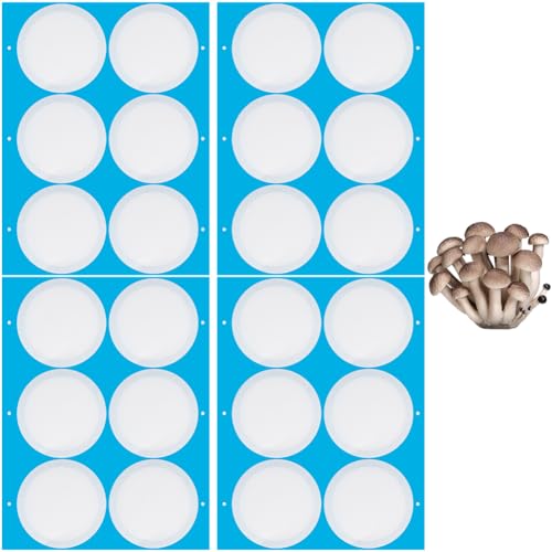 GORGECRAFT 24 Stück 4 Blatt Synthetische Filterpapieraufkleber 76mm Filterscheibe 0.3 μm Weite Öffnung Einmachglasfilter Patch Selbstklebender Klebebandaufkleber Für Pilzzuchtglasdeckel Einmachgläser