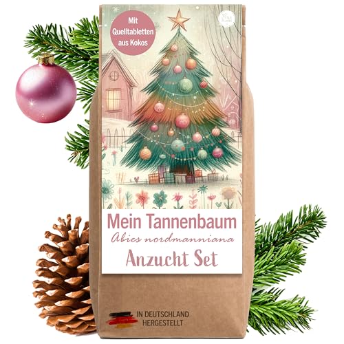 Little Plants Weihnachtsbaum Anzuchtset - Weihnachtsbaum 2030 I als Adventskalender Füllung, Wichtelgeschenk I Weihnachtsbaum in der Dose I Adventskalender befüllen Inhalt I Tannenbaum Geschenk Set 1